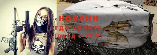 ешки Аркадак