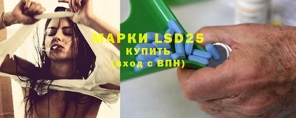 ешки Аркадак