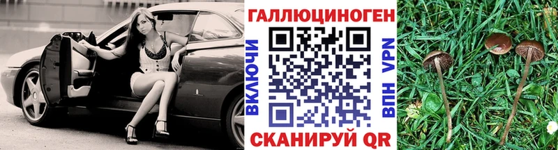 Псилоцибиновые грибы Psilocybe  Арсеньев 